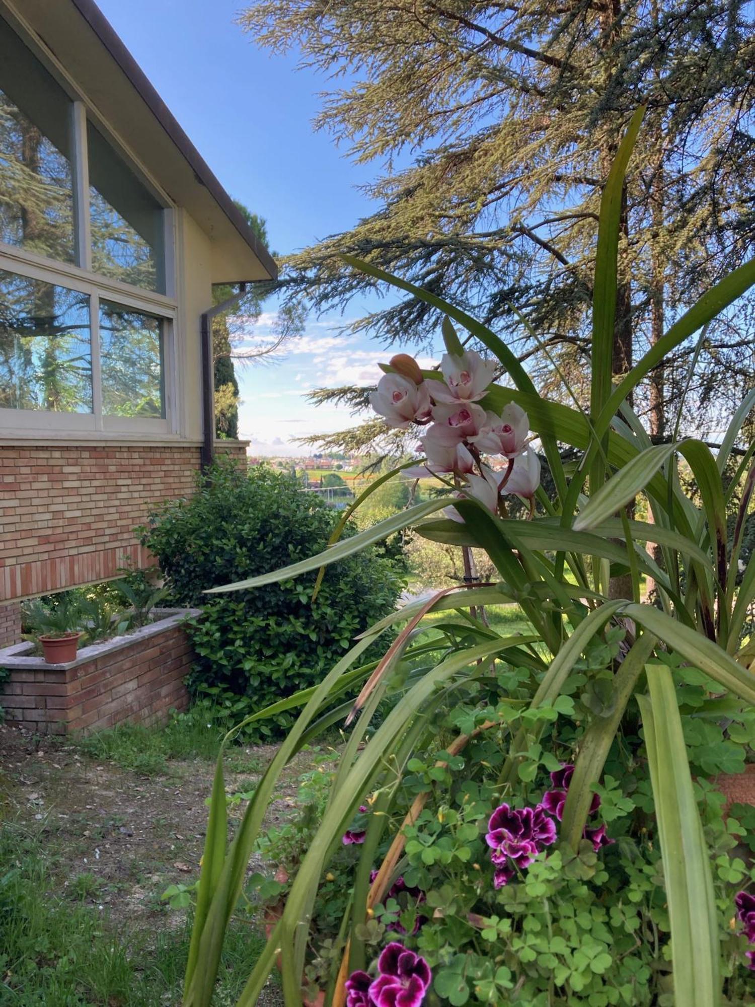 B&B Mama Ro Cesena Exterior photo