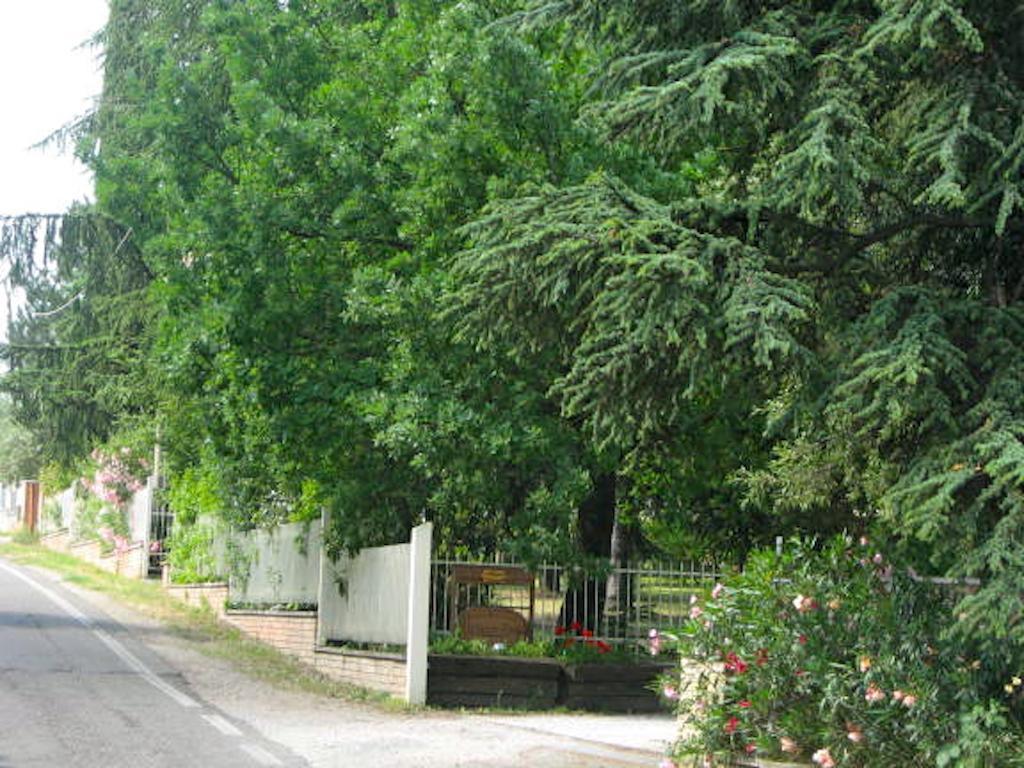 B&B Mama Ro Cesena Exterior photo